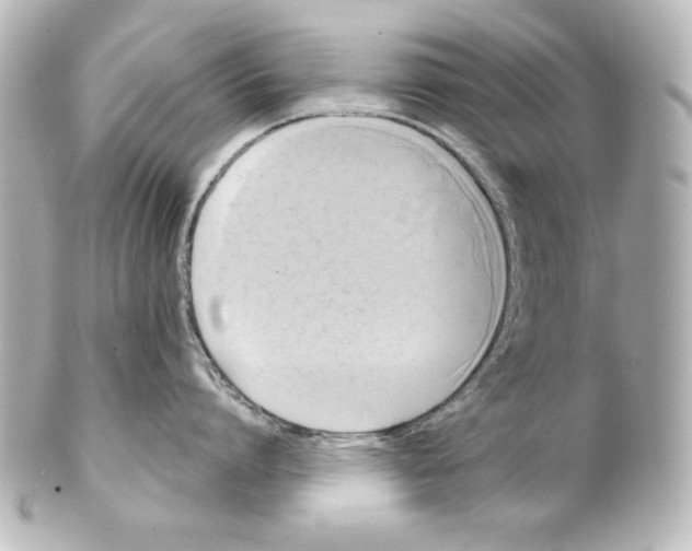 X0000101450864200808041017