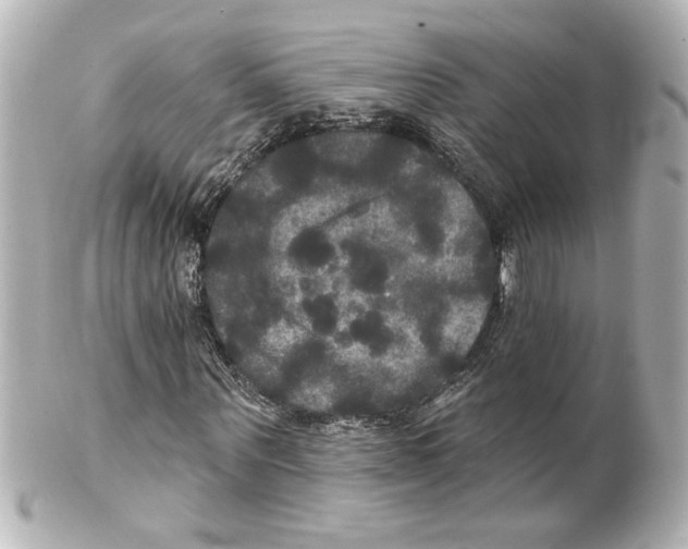 X0000101450867200808041016