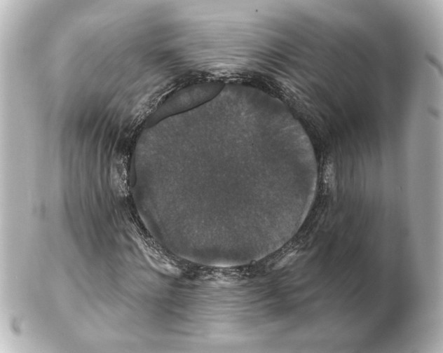 X0000101450868200808041016