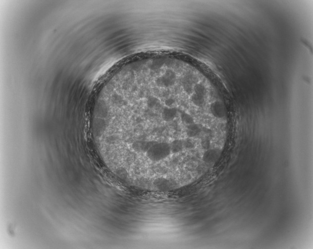 X0000101450871200808041016