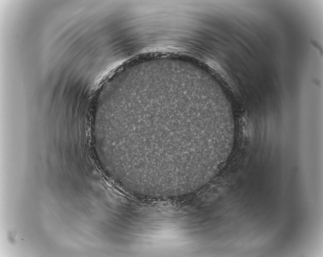 X0000101450872200808041016