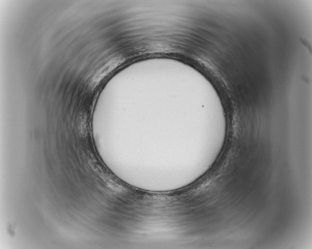 X0000101450873200808041016