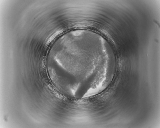 X0000101450874200808041016