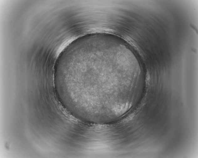 X0000101450877200808041016