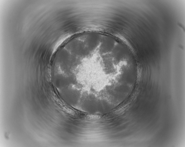 X0000101450878200808041016