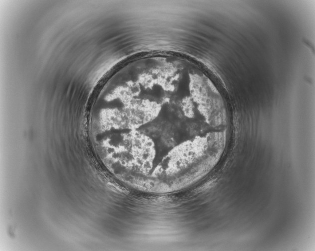 X0000101450879200808041016