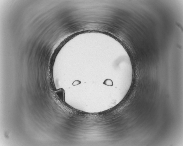 X0000101450880200808041016