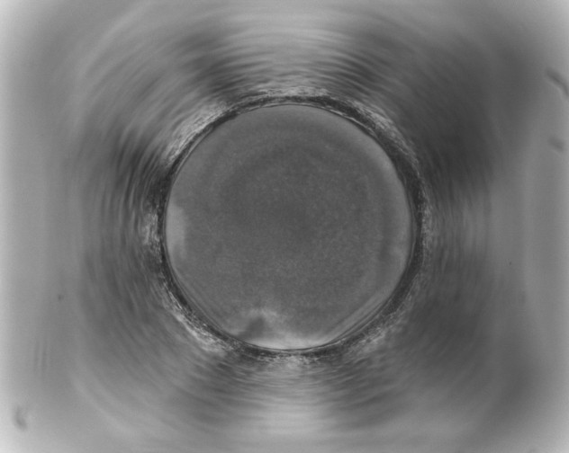 X0000101450881200808041016