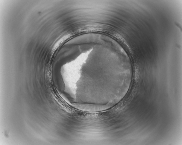 X0000101450882200808041016