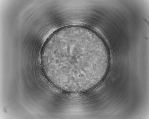 X0000101450883200808041016