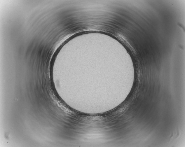 X0000101450884200808041016