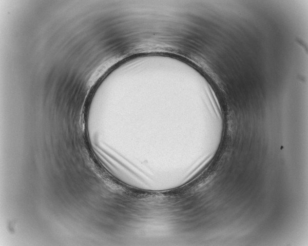 X0000101450885200808041016