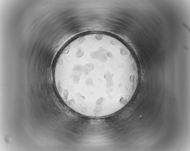 X0000101450887200808041016