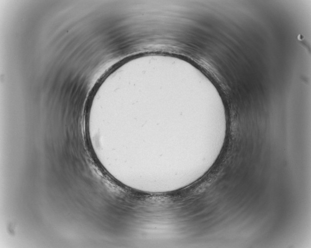 X0000101450888200808041016