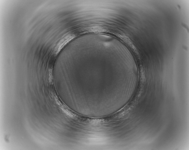 X0000101450889200808041016