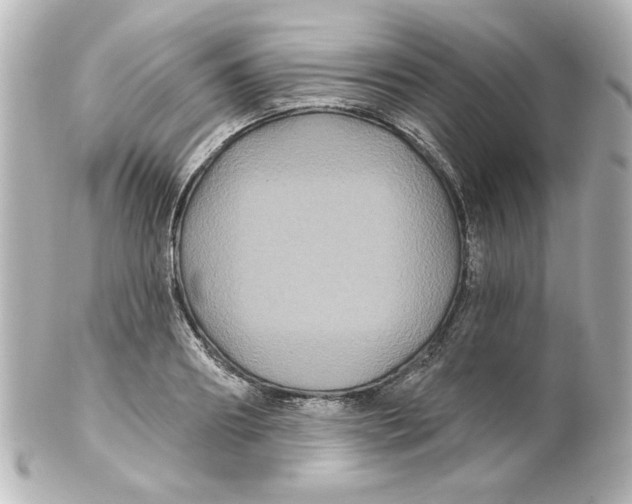 X0000101450890200808041016