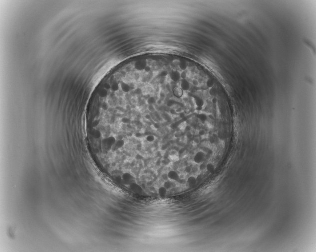 X0000101450891200808041016