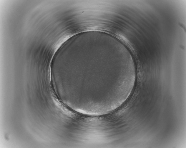 X0000101450892200808041016