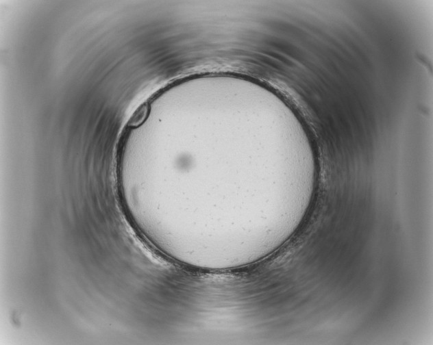 X0000101450894200808041016