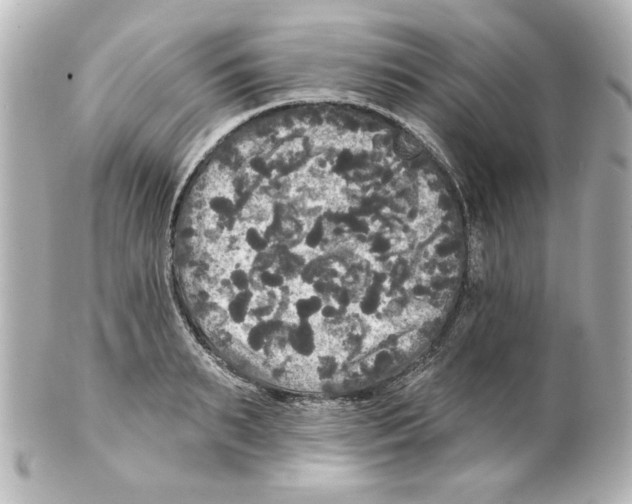 X0000101450895200808041016