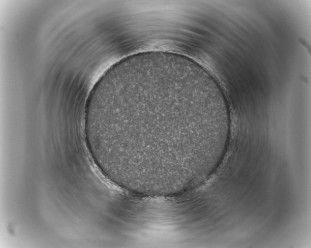 X0000101450896200808041016