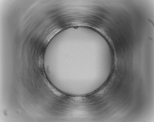 X0000101450897200808041016