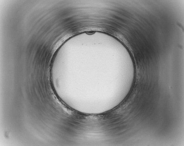 X0000101450898200808041016