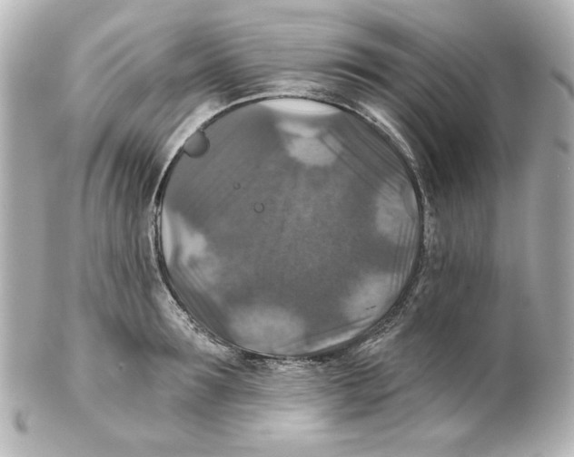 X0000101450899200808041016