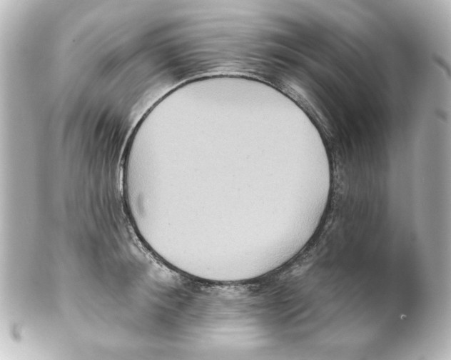 X0000101450900200808041016