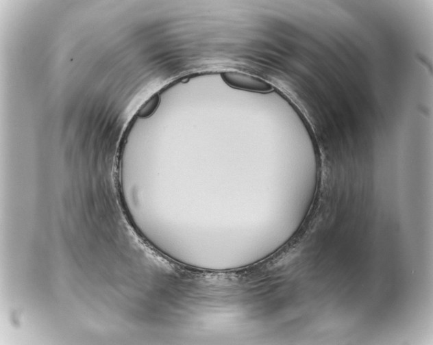 X0000101450901200808041016