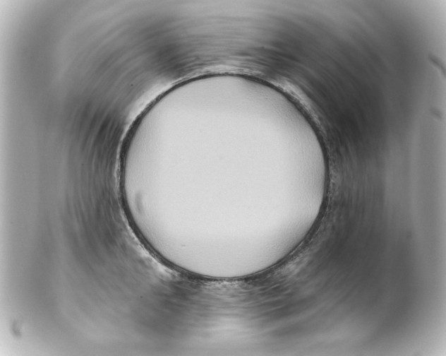 X0000101450902200808041016