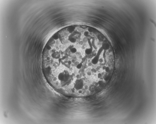 X0000101450903200808041016