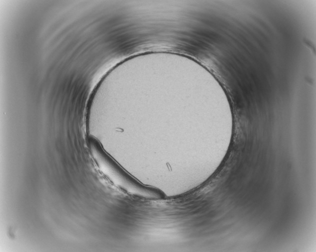 X0000101450904200808041016