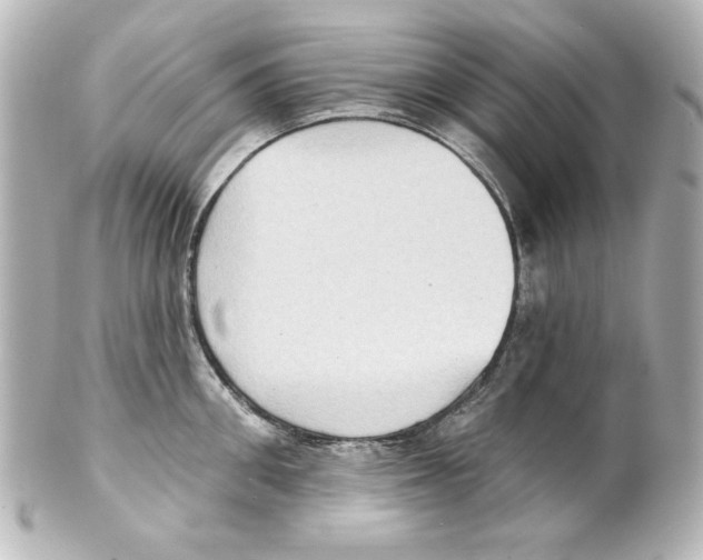 X0000101450906200808041016