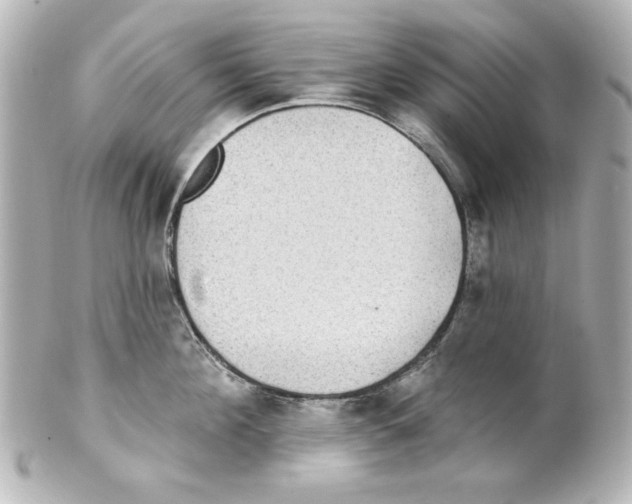 X0000101450908200808041016