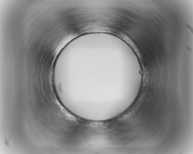 X0000101450909200808041016