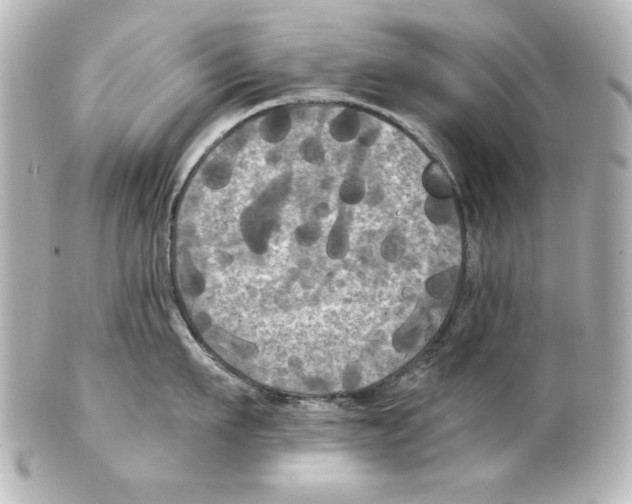 X0000101450911200808041016