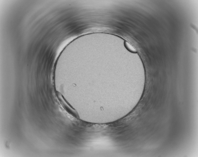 X0000101450912200808041016