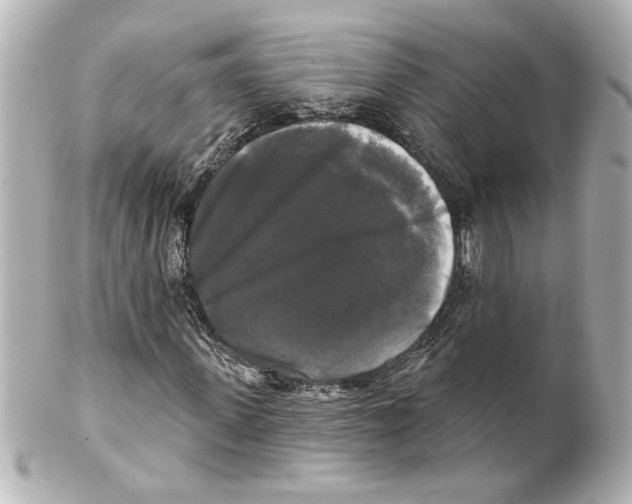 X0000101450915200808041015