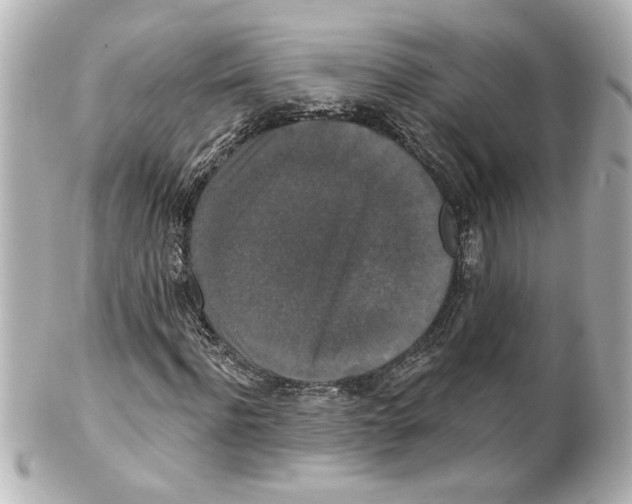 X0000101450916200808041015