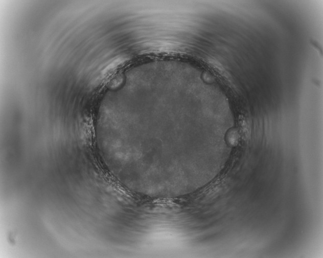 X0000101450918200808041015