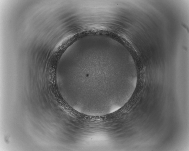 X0000101450919200808041015