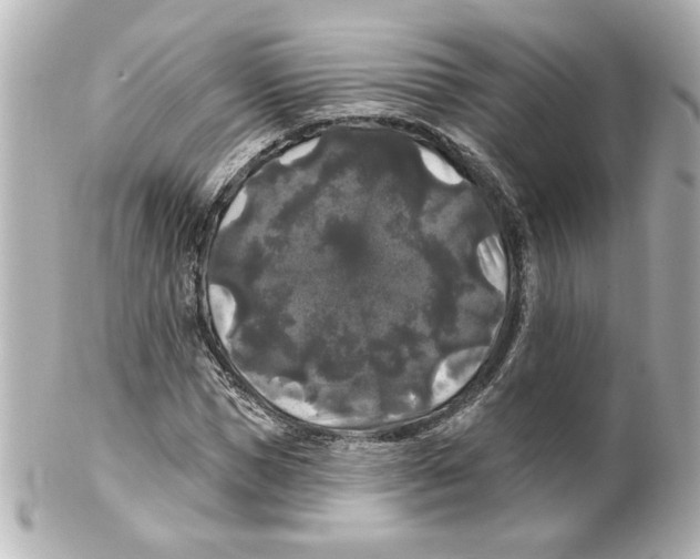 X0000101450921200808041015