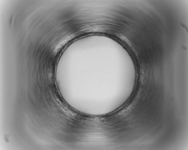 X0000101450922200808041015