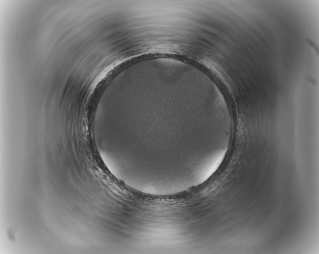 X0000101450923200808041015