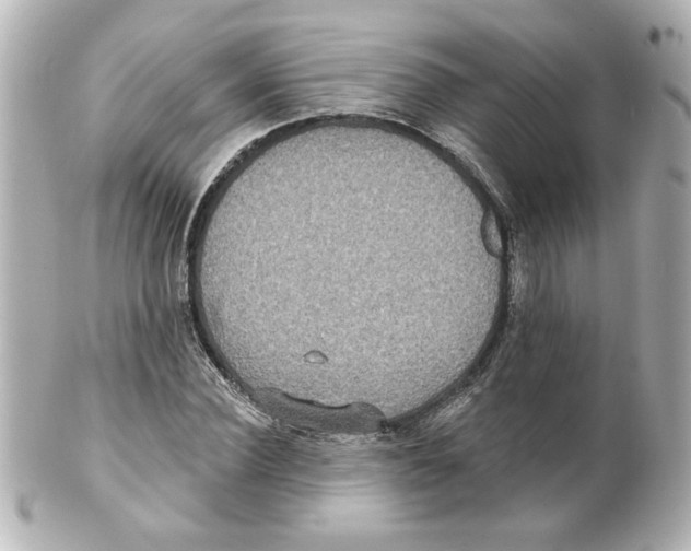 X0000101450924200808041015