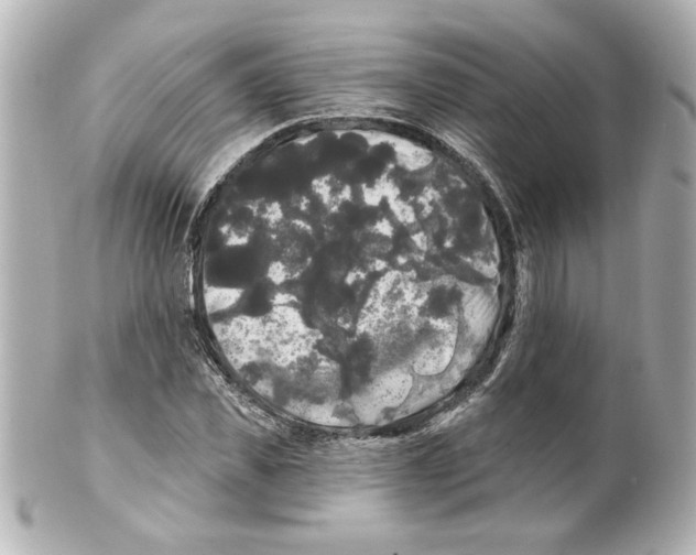 X0000101450925200808041015