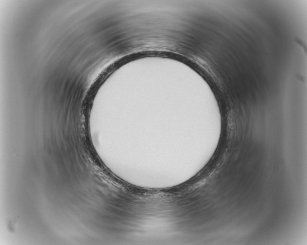 X0000101450926200808041015