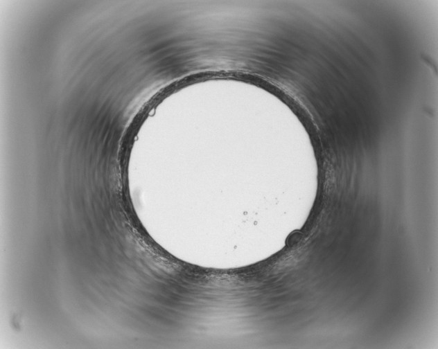 X0000101450927200808041015