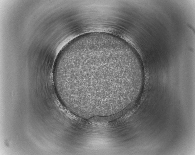 X0000101450928200808041015